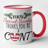 your-secret-santa-thinks-mug